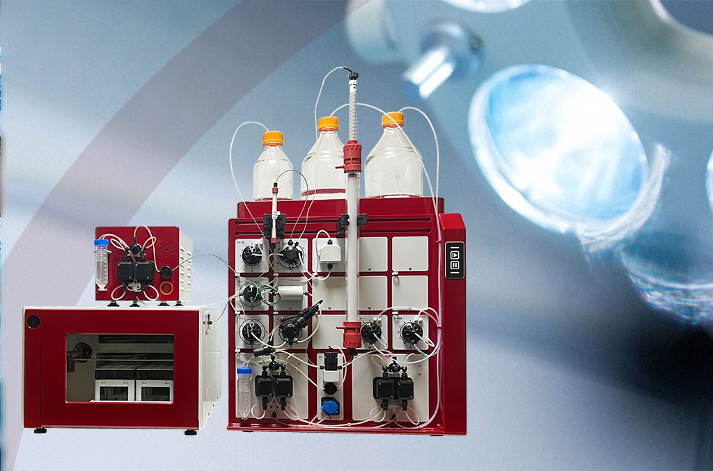 PROTEIN ANTIBODY VACCINE